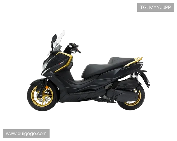 赛艇爱好者必备装备推荐及选购指南提升你的赛艇体验